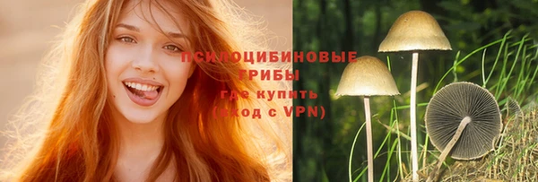 PSILOCYBIN Алексин