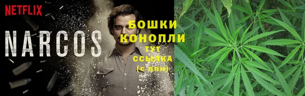 крисы Абдулино